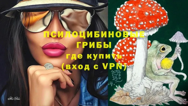 Галлюциногенные грибы Psilocybe  OMG зеркало  Новая Ляля 